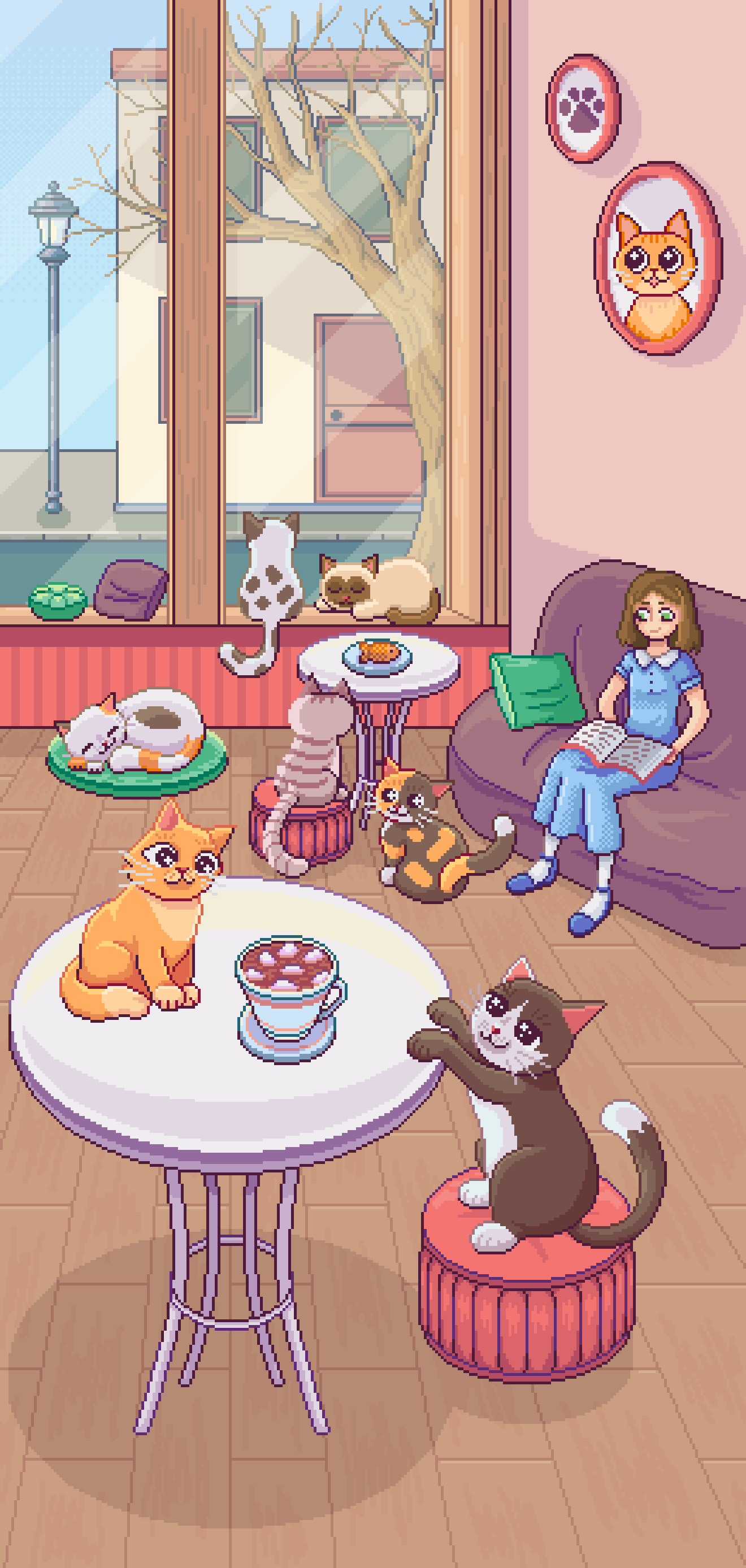 cat cafe
